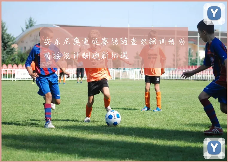 安东尼奥重返赛场随查尔顿训练或将按场计酬迎新机遇