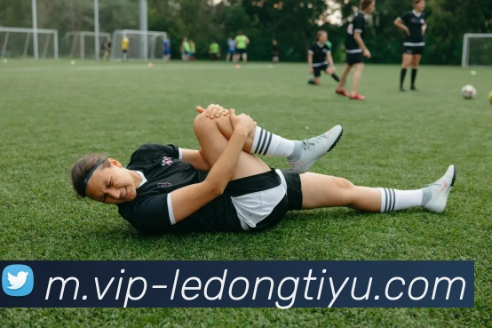 乐动体育发展历程